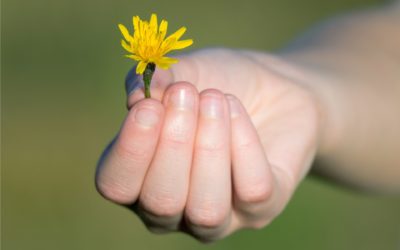 La gratitude : 5 conseils pour vivre plus heureux !