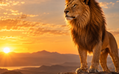 Mars entre en Lion Une nouvelle énergie se met en mouvement